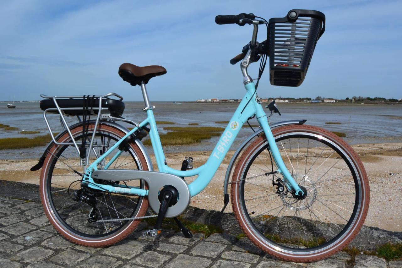 Elma Stay Location Lalbatros Saint-Pierre-d'Oleron Buitenkant foto